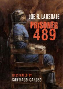 Prisoner 489 (Black Labyrinth Book 2) Read online