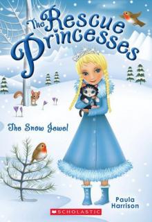 Rescue Princesses #5: The Snow Jewel Read online