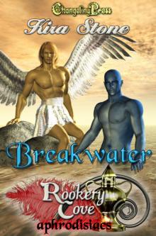 Rookery Cove: Breakwater Read online