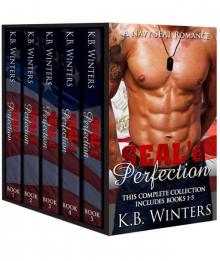 SEAL'd Perfection The Complete Collection: A Navy SEAL Romance Read online