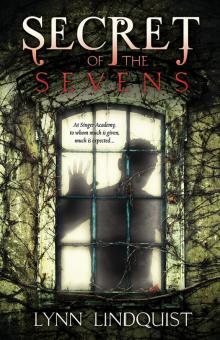 Secret of the Sevens Read online