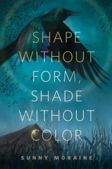 Shape Without Form, Shade Without Color Read online