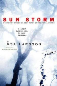 Sun Storm aka The Savage Altar Read online