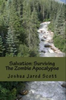 Surviving The Zombie Apocalypse (Book 3): Salvation Read online