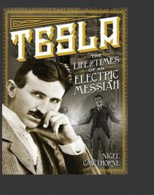 Tesla: The Life and Times of an Electric Messiah Read online