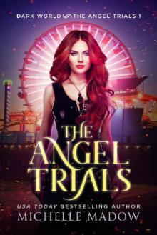 The Angel Trials Read online