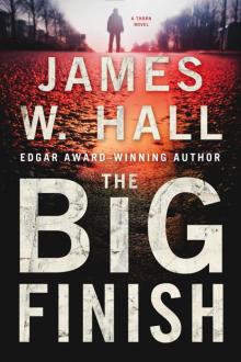 The Big Finish Read online