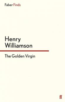The Golden Virgin Read online