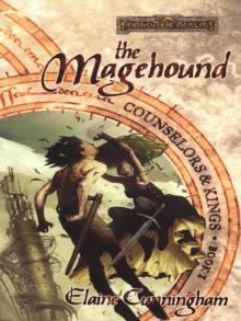 The Magehound Read online