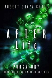 The NEXT Apocalypse (Book 2): AFTER Life: Purgatory Read online