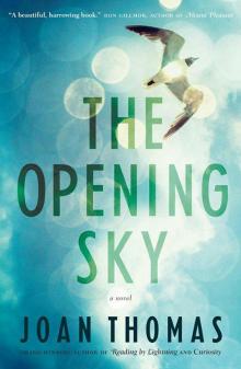The Opening Sky Read online