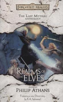 The Realms of the Elves a-11 Read online