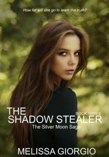 The Shadow Stealer Read online