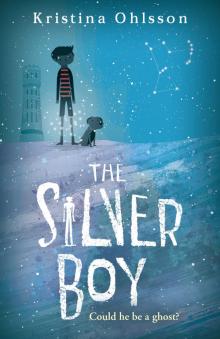 The Silver Boy Read online