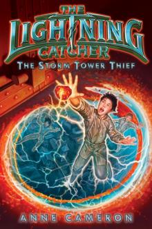 The Storm Tower Thief Read online