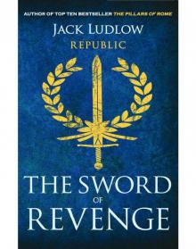 The Sword of Revenge Read online