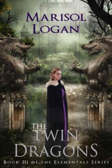 The Twin Dragons: Book III in the Elementals Series