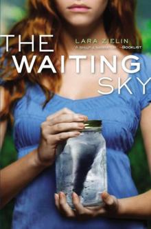 The Waiting Sky Read online