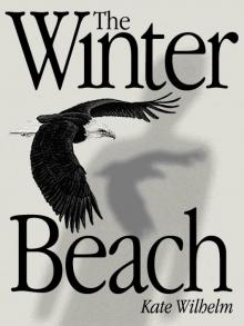 The Winter Beach Read online