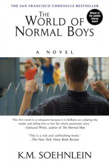 The World of Normal Boys Read online