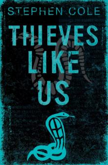 Thieves Like Us 01 - Thieves Like Us Read online