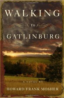 Walking to Gatlinburg: A Novel Read online