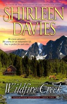 Wildfire Creek (Redemption Mountain Historical Western Romance Book 2) Read online