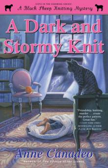 A Dark and Stormy Knit (Black Sheep Knitting Mystery) Read online