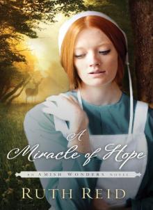 A Miracle of Hope (The Amish Wonders Series) Read online