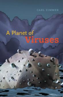 A Planet of Viruses Read online