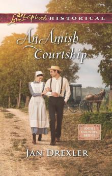 An Amish Courtship Read online