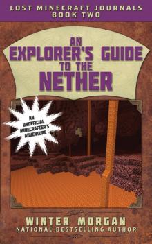 An Explorer's Guide to the Nether Read online