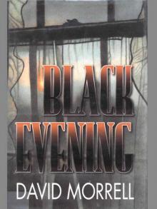 Black Evening Read online