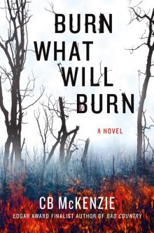 Burn What Will Burn Read online