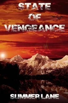 Collapse Series (Book 6): State of Vengeance Read online