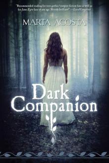 Dark Companion Read online