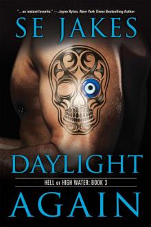 Daylight Again (Hell or High Water, #3) Read online