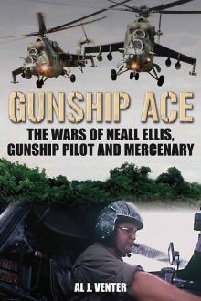 Gunship Ace Read online