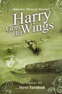 Harry gets Her Wings (Iron Pegasus Book 3) Read online