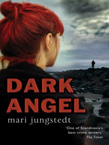 Inspector Anders Knutas 6 - Dark Angel Read online