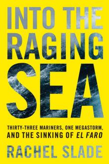 Into the Raging Sea Read online