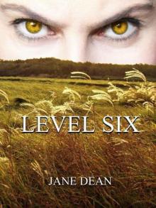 Level Six