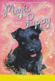 Magic Puppy: Sparkling Skates