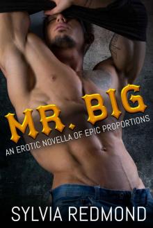 Mr. Big: An Erotic Novella of Epic Proportions Read online