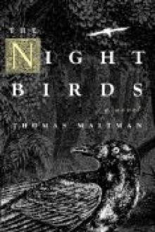Night Birds, The Read online