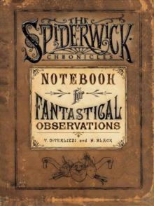 Notebook for Fantastical Observations Read online