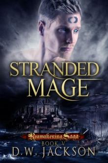 Stranded Mage Read online