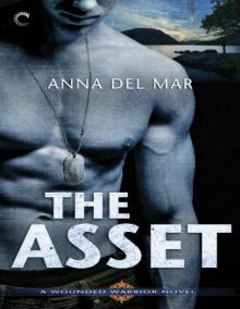 The Asset Read online
