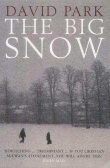 The Big Snow Read online