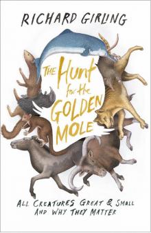 The Hunt for the Golden Mole Read online
